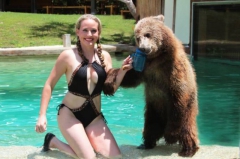 bear and girl - N