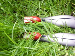 Red Heels and Green Grass - N