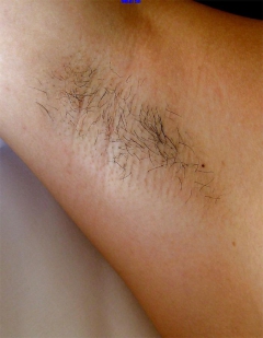 Sexy Stubble - N