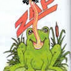 funtungnfrog`s avatar