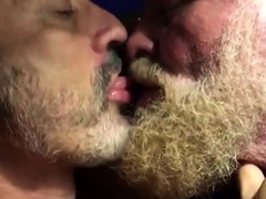 hairy-bears-passionate-kissing