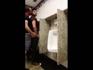 breeding a slut in a Public Bathroom